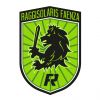 RAGGISOLARIS FAENZA Team Logo